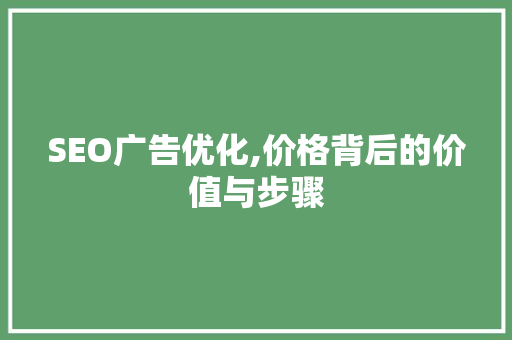 SEO广告优化,价格背后的价值与步骤