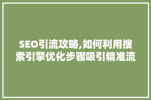 SEO引流攻略,如何利用搜索引擎优化步骤吸引精准流量