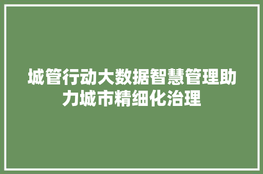 城管行动大数据智慧管理助力城市精细化治理