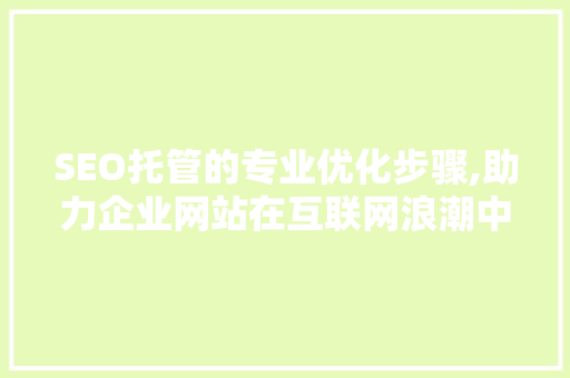 SEO托管的专业优化步骤,助力企业网站在互联网浪潮中脱颖而出