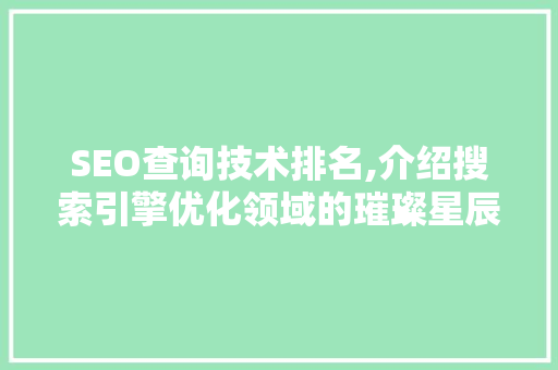 SEO查询技术排名,介绍搜索引擎优化领域的璀璨星辰