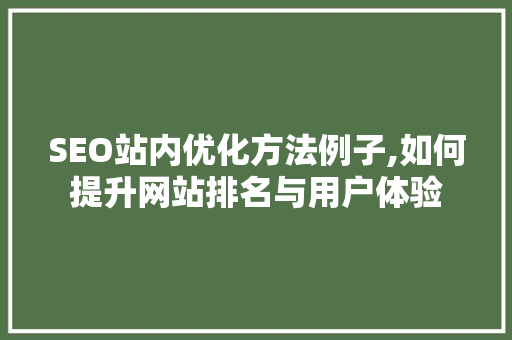 SEO站内优化方法例子,如何提升网站排名与用户体验  第1张