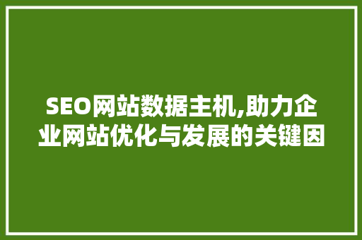 SEO网站数据主机,助力企业网站优化与发展的关键因素