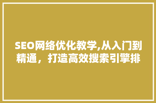 SEO网络优化教学,从入门到精通，打造高效搜索引擎排名