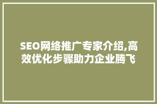 SEO网络推广专家介绍,高效优化步骤助力企业腾飞