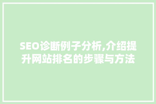 SEO诊断例子分析,介绍提升网站排名的步骤与方法