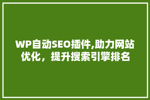 WP自动SEO插件,助力网站优化，提升搜索引擎排名