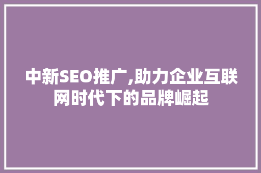 中新SEO推广,助力企业互联网时代下的品牌崛起