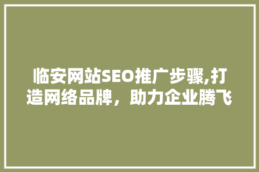 临安网站SEO推广步骤,打造网络品牌，助力企业腾飞
