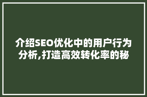 介绍SEO优化中的用户行为分析,打造高效转化率的秘密武器