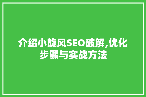 介绍小旋风SEO破解,优化步骤与实战方法