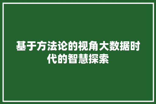 基于方法论的视角大数据时代的智慧探索  第1张