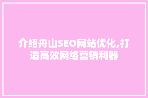 介绍舟山SEO网站优化,打造高效网络营销利器