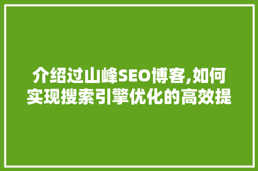 介绍过山峰SEO博客,如何实现搜索引擎优化的高效提升