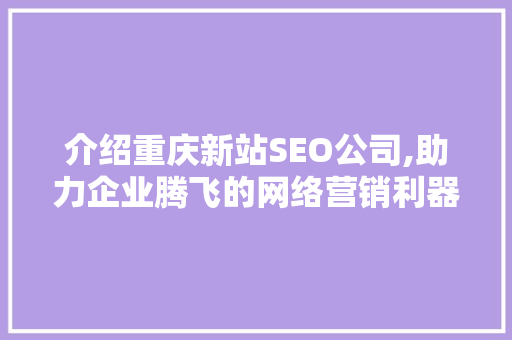 介绍重庆新站SEO公司,助力企业腾飞的网络营销利器