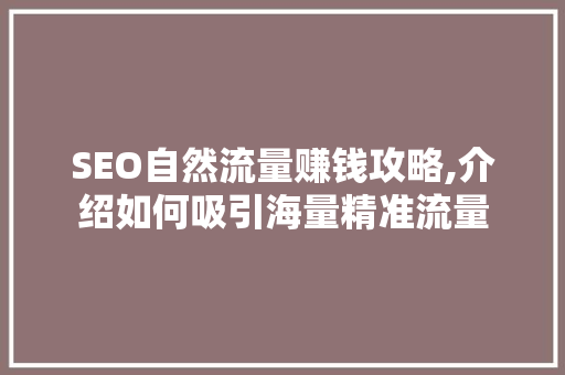 SEO自然流量赚钱攻略,介绍如何吸引海量精准流量