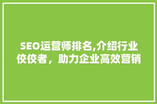 SEO运营师排名,介绍行业佼佼者，助力企业高效营销