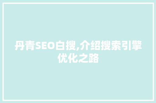 丹青SEO白搜,介绍搜索引擎优化之路