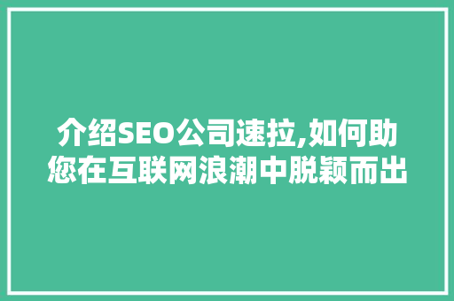 介绍SEO公司速拉,如何助您在互联网浪潮中脱颖而出