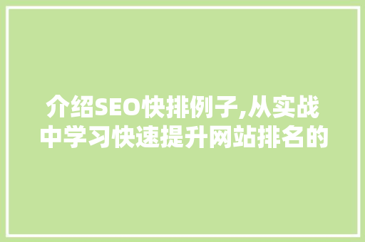 介绍SEO快排例子,从实战中学习快速提升网站排名的步骤