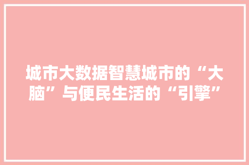 城市大数据智慧城市的“大脑”与便民生活的“引擎”  第1张