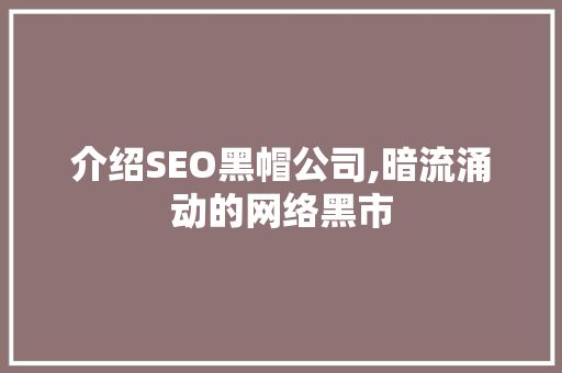 介绍SEO黑帽公司,暗流涌动的网络黑市