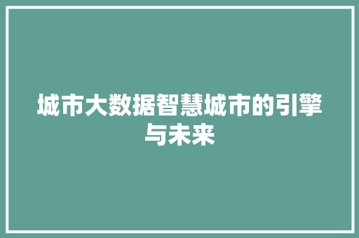城市大数据智慧城市的引擎与未来  第1张