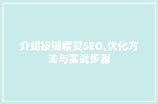 介绍按键精灵SEO,优化方法与实战步骤