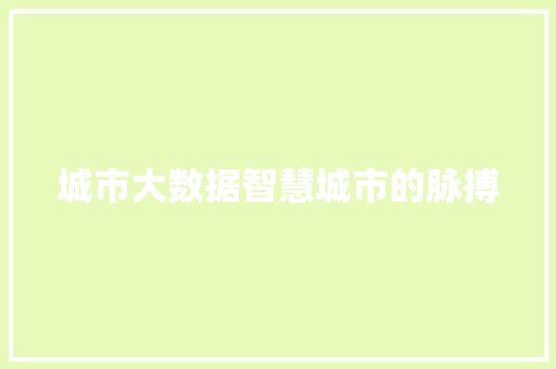 城市大数据智慧城市的脉搏  第1张