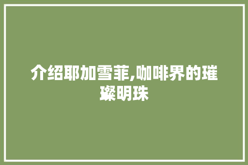 介绍耶加雪菲,咖啡界的璀璨明珠