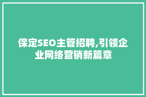 保定SEO主管招聘,引领企业网络营销新篇章