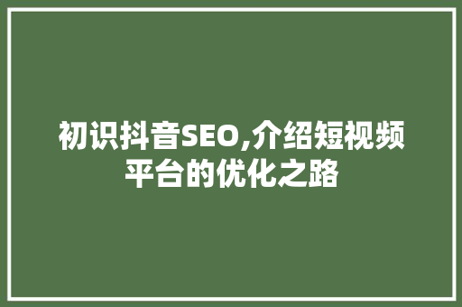 初识抖音SEO,介绍短视频平台的优化之路