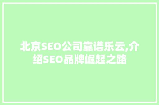 北京SEO公司靠谱乐云,介绍SEO品牌崛起之路