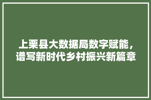 上栗县大数据局数字赋能，谱写新时代乡村振兴新篇章