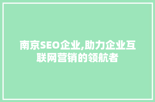 南京SEO企业,助力企业互联网营销的领航者