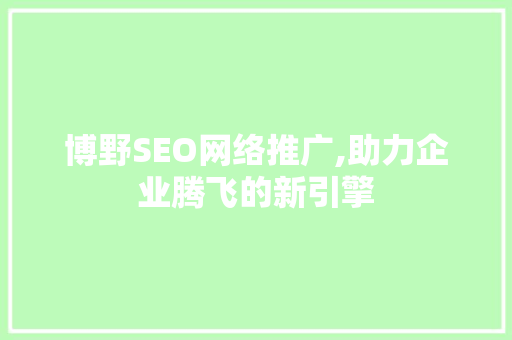 博野SEO网络推广,助力企业腾飞的新引擎