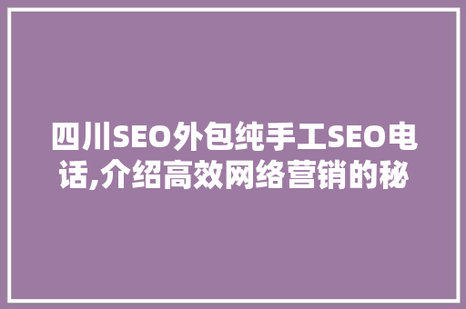 四川SEO外包纯手工SEO电话,介绍高效网络营销的秘密武器