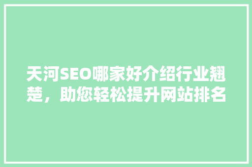 天河SEO哪家好介绍行业翘楚，助您轻松提升网站排名