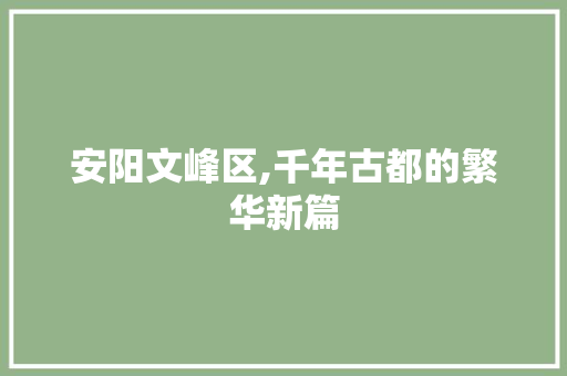安阳文峰区,千年古都的繁华新篇