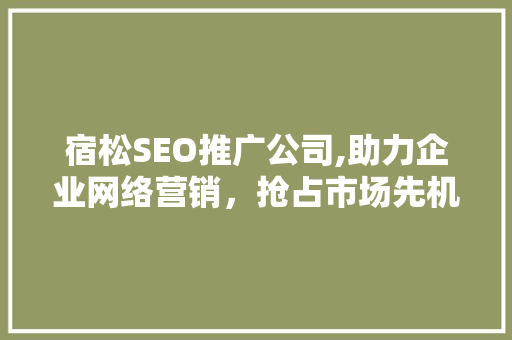 宿松SEO推广公司,助力企业网络营销，抢占市场先机