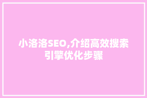 小洛洛SEO,介绍高效搜索引擎优化步骤