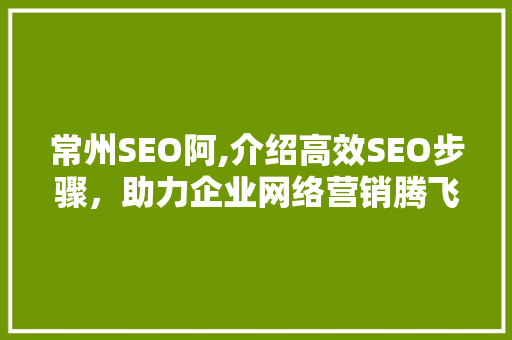 常州SEO阿,介绍高效SEO步骤，助力企业网络营销腾飞