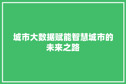 城市大数据赋能智慧城市的未来之路  第1张