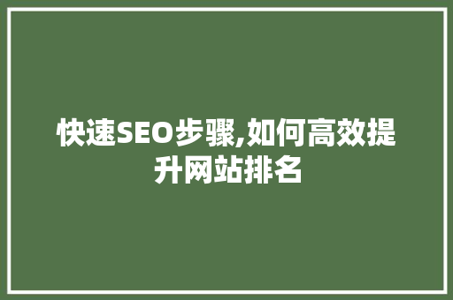 快速SEO步骤,如何高效提升网站排名