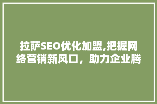 拉萨SEO优化加盟,把握网络营销新风口，助力企业腾飞