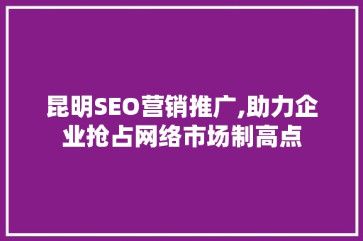 昆明SEO营销推广,助力企业抢占网络市场制高点