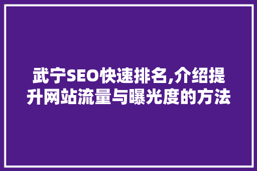 武宁SEO快速排名,介绍提升网站流量与曝光度的方法