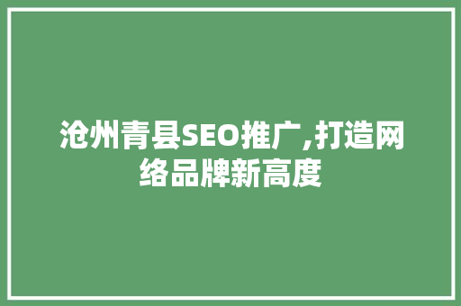 沧州青县SEO推广,打造网络品牌新高度