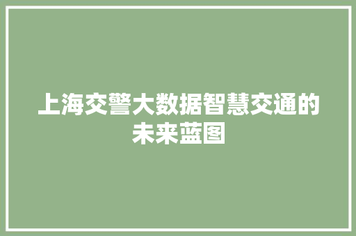 上海交警大数据智慧交通的未来蓝图