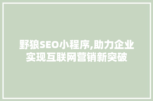 野狼SEO小程序,助力企业实现互联网营销新突破